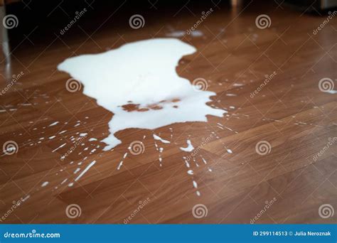 Spilled milk on the floor stock image. Image of mess - 299114513