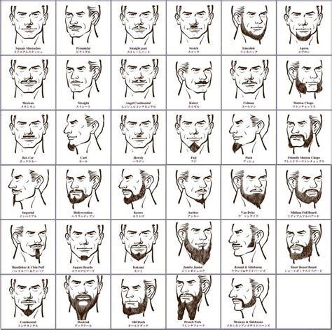 Beard chart... might just have to try something new | Hair growth ...