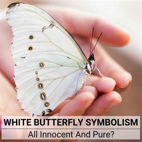White Butterfly Spiritual Meaning