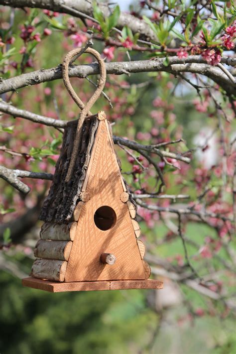 Bird Houses Ideas Diy, Homemade Bird Houses, Homemade Bird Feeders ...