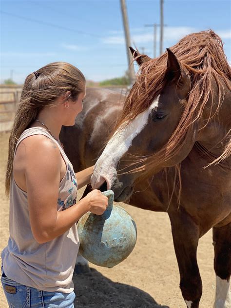 Harry — Timber Creek Veterinary Hospital