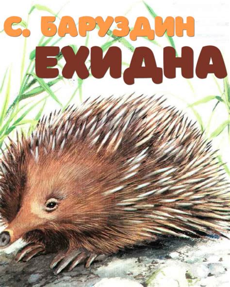 Ехидна – рассказ Сергея Баруздина, читать онлайн