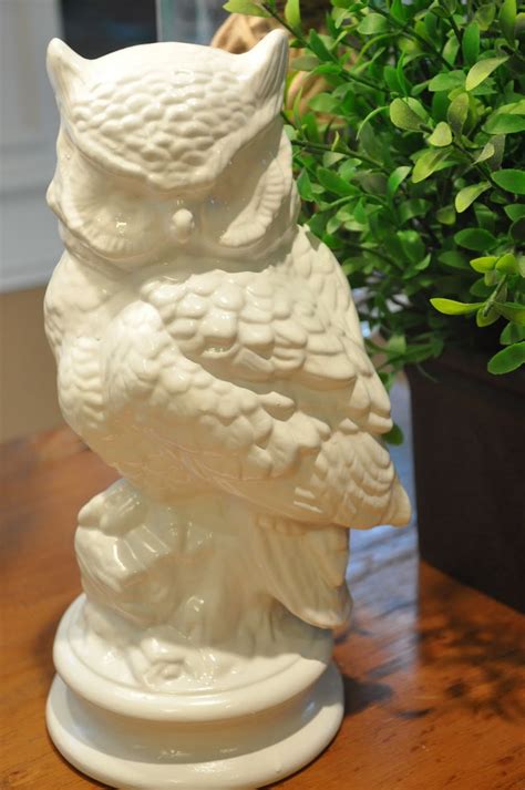 What a Hoot - Evolution of Style