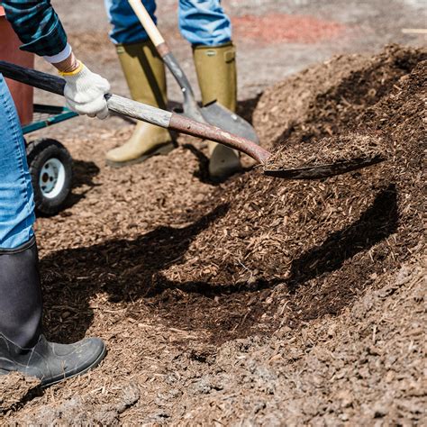 Mulching: Perfect Timing, Tools, and Technique | Sunnyside Gardens