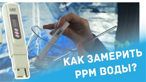 КАК ИЗМЕРИТЬ УРОВЕНЬ PPM ВОДЫ / как пользоваться TDS метром? - YouTube