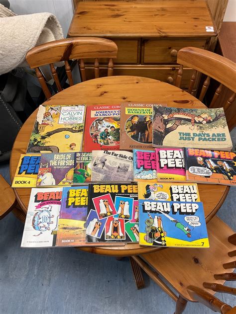 Collection of adult comic books including beau peep & far side ...