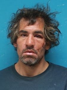 Inmate Roster | Cape Girardeau County MO Sheriff's Office | Searching ...