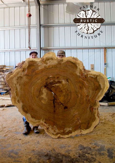 Live Edge Wood Slab Round at Stacy Dyson blog