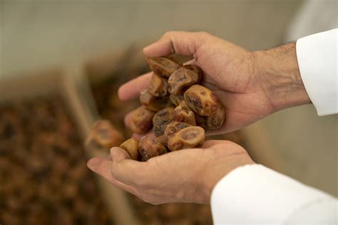 Why are dates so important to Saudi culture? - Wanderlust