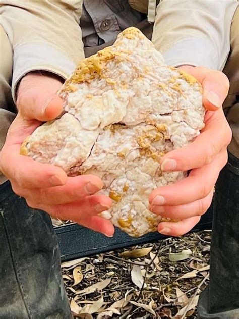 Australian man discovers rare gold nugget worth $160,000 - ABC News