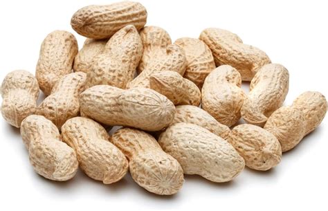 Wildlife Feed Raw Peanuts- Our in-Shell Peanuts are The Ideal Critter Food to Attract Squirrels ...