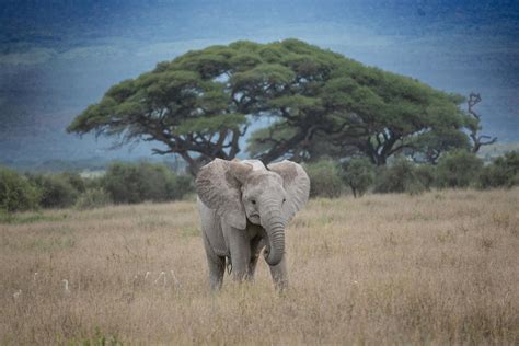 Anime+Ahegao+Wallpaper Photos, Download The BEST Free Anime+Ahegao ...