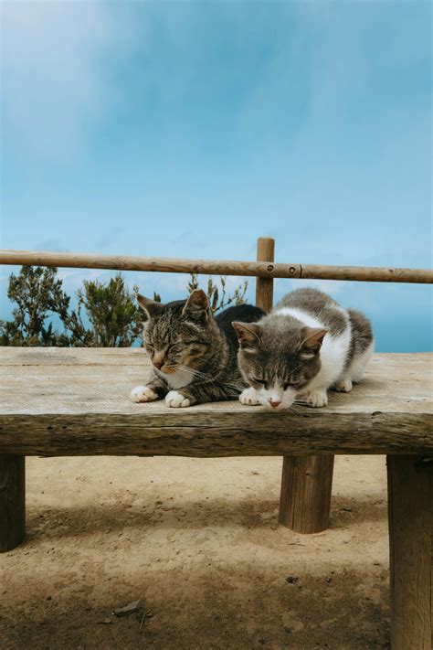 Slow+Penetration+Gif Photos, Download The BEST Free Slow+Penetration+Gif Stock Photos & HD Images