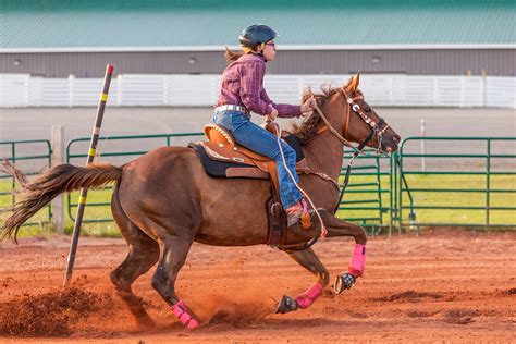 Horse Disciplines - Saskatchewan Horse Federation