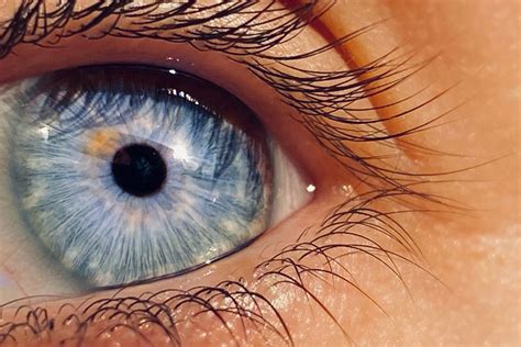 What Is Peripheral Vision