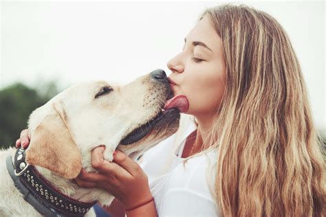 4 Signs Your Pet is Your 'Familiar' Spiritual Protector, Per Experts ...