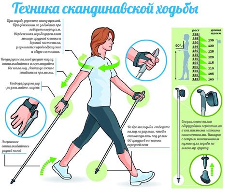 Что такое скандинавская ходьба, её польза и вред.