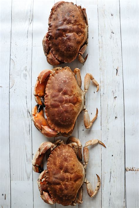 How To Boil Jonah Crab
