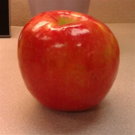 Large Honeycrisp Apple Nutrition Facts | Besto Blog