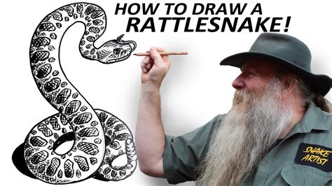 How to Draw a RATTLESNAKE (Beginner to Intermediate level) - YouTube