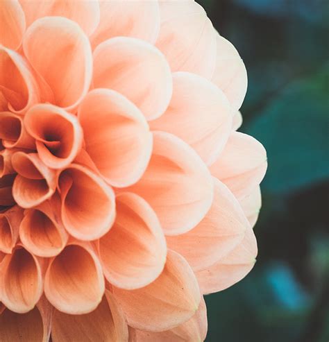 Shuda Funeral Home | Stevens Point & Plover, WI