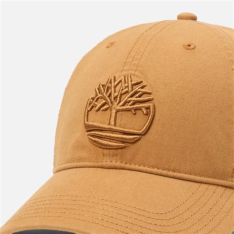 Soundview Embroidered Baseball Cap in Yellow