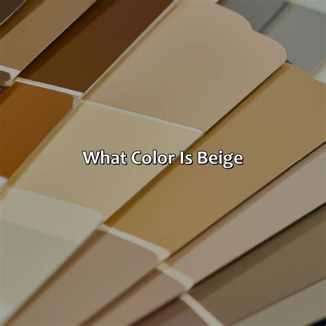 What Color Is Oxblood - colorscombo.com