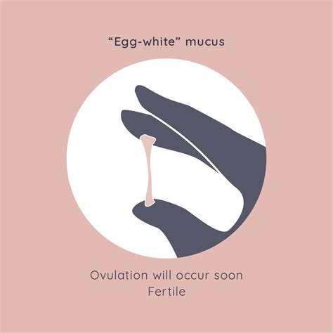 Thick Cervical Mucus Before Period White Discharge Before Periods: