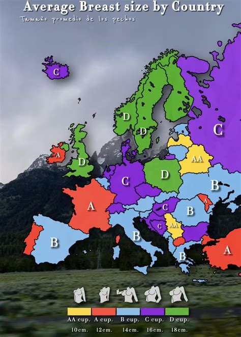 Average Breast Size : r/2westerneurope4u