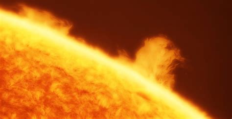 New ‘Froggy Style’ Sex Position Discovered in Bombay Night Frogs