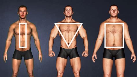 Tipos De Cuerpo Culturismo