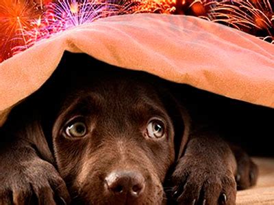 OIP.VLXAYurF3uWl7SNwU_nNTgAAAA?rs=1&pid=