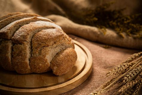 Huge+Brown+Nipples Photos, Download The BEST Free Huge+Brown+Nipples ...