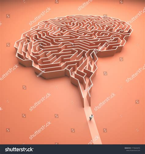 Human Brain Maze Photos and Images | Shutterstock