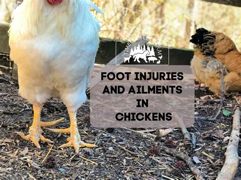 Footchick - Best photos on dibujosparaimprimir.net