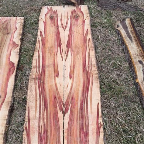 Turning BoxElder and Sawmilling Boxelder Beautiful Wood with Red and ...