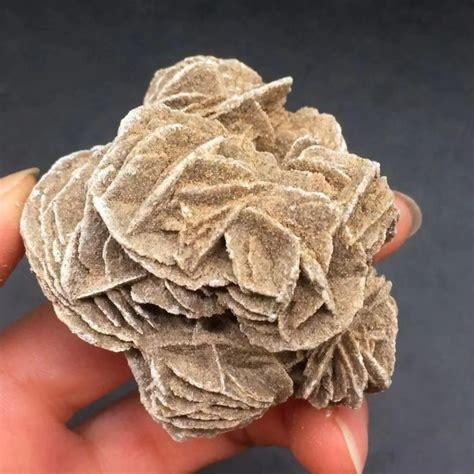 Rosa del Desierto: Formación, Ubicación, Propiedades - GEOLOGYSCIENCE