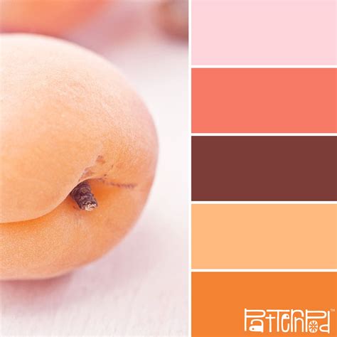 Apricot Paint Colors: Tips For Choosing The Right Shade - Paint Colors