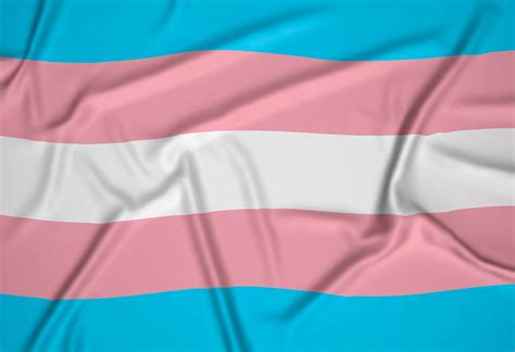 What Does the Transgender Pride Flag Mean?