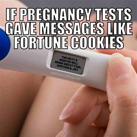 50 Hilarious Pregnancy Memes Every Mom-to-Be Will Relate To