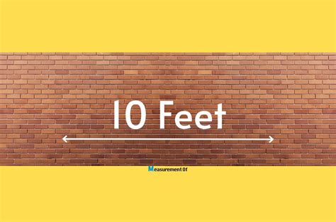 10 Common Things That Are 10 Feet Long