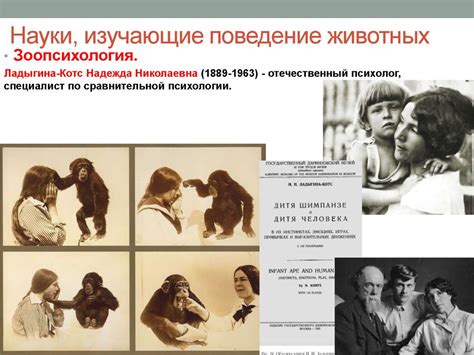 Предмет зоопсихологии и науки, изучающие поведение животных ...