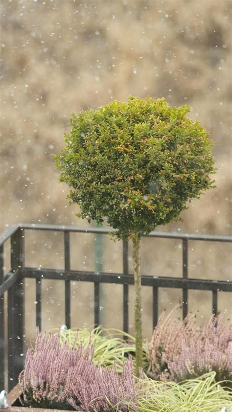 Pron Video Videos, Download The BEST Free 4k Stock Video Footage & Pron ...