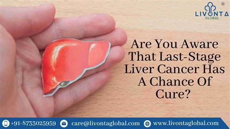 Are You Aware That Last-Stage Liver Cancer Has A Chance Of Cure? - Livonta Global Pvt Ltd