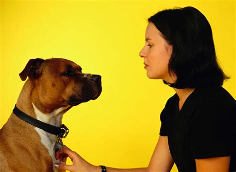 Borax & Salt Mixture to Kill Fleas