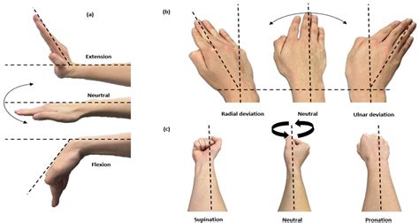 Measurement of 3D Wrist Angles by Combining Textile Stretch Sensors and ...