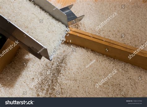 Milling Paddy Into White Rice Kernels Stock Photo 1506147350 | Shutterstock