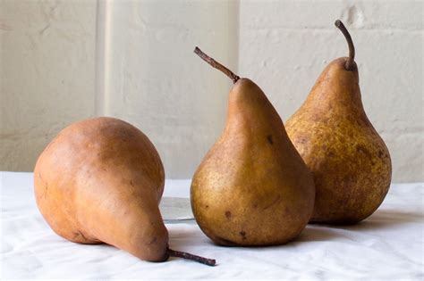 20 Bosc Pear Nutrition Facts - Facts.net