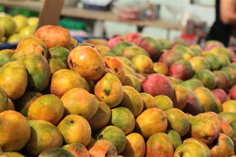 Where Are Mangoes Grown In The Us | The Tube
