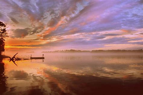 Lisa Wooten Wall Art